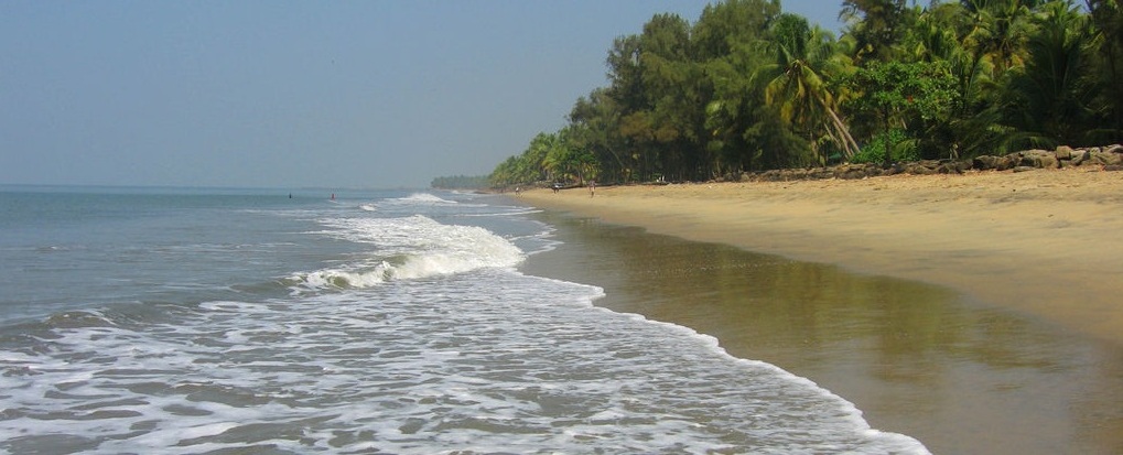Cherai Beach-This beautiful, very quiet beach bordering Vypeen island is ideal for swimming. The maritime friend of humans, the Dolphins can occasionally be sighted.  it is famous for sea food and coconut toddy.